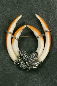 Jagdschmuck Murmeltierzähne